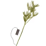 Green Glittered Battery Operated Led Light Up Artificial 29" Pine Sprays. Fixed Price $25.80.