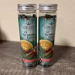 Pack Of Two Scentsicles Christmas Tree Scented Ornaments W/ Hooks 2. Fixed Price $11.99.