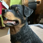 Rottweiler Resin Dog Figurine Collectible Sculpture Animal Decor Home Ornament. Fixed Price $20.00.