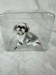 Sandicast Silver White Shih Tzu Holding Holiday Light String Christmas Ornament. Fixed Price $15.99.