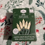 100 Count Cool White Led Mini Christmas Lights Green Wire 21 Ft Holiday Time. Fixed Price $15.99.