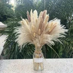 Pampas Grass 80 Pcs 17.5 Inch Natural Dried Home Decor. Fixed Price $29.99.