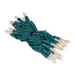Novelty Vintage Style T5 Warm White Led Christmas Lights, 11.5 Feet Gr.... Fixed Price $25.96.
