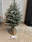 Balsam Hill Fir Snow Tabletop Tree 30 Inch Pre-lit Candlelight Led Mint. Fixed Price $125.00.