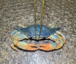 Realistic Blue Crab Ornament Sea Coastal Nautical Christmas Kurt Adler 3 X 2.5. Fixed Price $14.99.