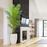 6FT Artificial Palm Tree Indoor With White Pot, Realistic Leaves, 15 Trunks Adju. Fixed Price $124.62.