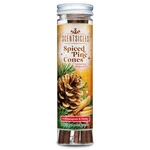 Scentsicles Spiced Pine Cones Scented Christmas Ornaments With Hooks - 1 Bott.... Fixed Price $15.69.