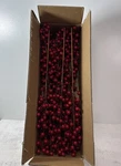 Balsam Hill Large Red Berry Picks - Christmas Tree Set Of 12 New. Fixed Price $125.00.