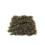 Gki Pre-lit Extend-a-tree Artificial Christmas Extension Clear Lights. Fixed Price $615.49.