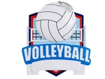 Volleyball Ornaments, 2025 Christmas To Personalize,. Fixed Price $14.99.