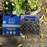 Celebrations 100 Ct New Led Christmas Lights Cool White Netting. Fixed Price $17.99.