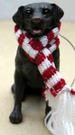 Sandicast Chocolate Labrador Retriever, Sitting Ornament Item XSO13012. Fixed Price $20.00.