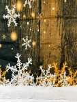 Ambesonne Christmas Shower Curtain. Fixed Price $15.99.