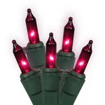 Vickerman Mini Set Features 100 Bulbs On Green Wire And 4. Fixed Price $29.25.