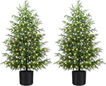 4FT Pre-lit Norfolk Pine Christmas Tree With 100 Led Lights For Indoor Use. Fixed Price $216.99.