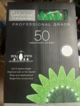 Christmas Lights Professional Grade 50 Count By Celebrations All Green. Fixed Price $9.90.