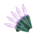 Home Accents Holiday 100-COUNT Purple Mini Led Christmas Halloween String Lights. Fixed Price $14.95.
