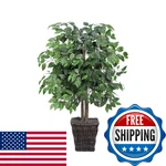 Vickerman Everyday 5 Tall Artificial Potted Real Touch Dracaena Tree - Lifelike. Fixed Price $87.32.