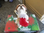 Sandicast Gold White Shih Tzu Holding Stocking Ornament Size,. Fixed Price $21.23.