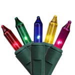 100 Multi Mini Christmas Lights, Green Wire, 22.8' Total Length. Fixed Price $10.99.