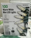 Home Accents 100 Led Warm White Mini Lights On Green Wire 20.5 Ft Lenght. Fixed Price $10.99.