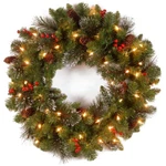 24" National Tree Company Pre-lit Warm White Artificial Crestwood Spruce Plug In. Fixed Price $39.99.