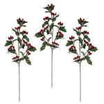 Holiday Holly Berry Picks SET/3. Fixed Price $19.99.