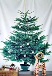 Ikea Vinter 2011 Christmas Tree Fabric Panel Life-size Wall Hanging Retired. Fixed Price $51.20.