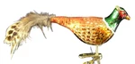 Old World Christmas Clip Pheasant Ornament W/ Owc Box. Fixed Price $19.97.
