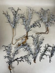 Box Of Ice Twig Christmas Picks Winter Stem Branch For Tree Craft Diy. Fixed Price $25.00.