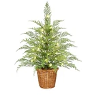 My Texas House 2FT Pre-lit Cypress Pot Artificial Christmas Tree Foot. Fixed Price $99.98.