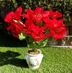 Holiday Christmas Artificial 17" Poinsettia Flowers Potted Table Centerpiece Nib. Fixed Price $14.95.