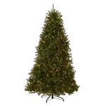 National Company 6.5 Ft Pre-lit Dunhill Fir Christmas Tree, 600 Led Lights. Fixed Price $208.73.