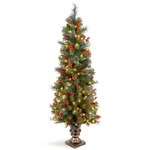 National Tree Company Pre-lit Artificial Entrance Christmas 5 Feet Green. Fixed Price $137.39.