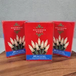 December Home Christmas Clear Lights 100 Mini Green Wire & Outdoor Lot Of 3. Fixed Price $17.21.