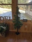 Nib Vickerman 6 Alpine Natural Look Artificial Christmas Tree Unlit. Fixed Price $79.99.