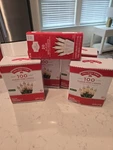 4 Holiday Time Christmas Lights 100 Clear Indoor Outdoor Including 20 Mini Pack. Fixed Price $28.99.