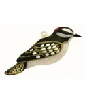 Downy Woodpecker Blown Glass Handcrafted Bird Christmas Ornament Nib Cobane. Fixed Price $22.99.