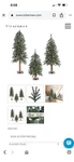 Nib 2 , 3 4 Vickerman. Natural Bark Artificial Alpine Tree Set With Lights. Fixed Price $275.00.