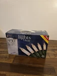 Holiday Time 450 Ct. Mini Clear Indoor/outdoor Set 66-597C. Fixed Price $20.00.