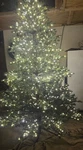 Home Decorators Collection 7.5 Ft. Elegant Grand Fir Pre-lit Tree W/timer New. Fixed Price $265.00.
