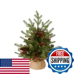 National Tree Company 3 Ft Pre-lit Nordic Spruce Mini Artificial Christmas. Fixed Price $81.07.