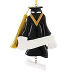 Polarx 4.00IN Grad Gown, Polyresin, High School Collage OR789. Fixed Price $26.99.