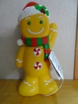 Holiday Time Gingerbread Man Tabletop Blow Mold 11" Indoor/outdoor Nwt. Fixed Price $24.99.