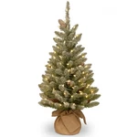 National Tree Company Pre-lit Artificial Mini Christmas Includes Small Wh. Fixed Price $80.15.