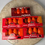 Noma Expressions C7 Christmas Light Bulbs 20CT Orange Vintage Indoor Outdoor 5W. Fixed Price $25.00.