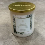 Threshold Sugared Pine Needles Christmas Scented Candle 10OZ Jar With Metal Lid. Fixed Price $12.00.