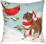 Cardinal And Squirrel Christmas Indoor Outdoor 18IN Throw Pillow Climaweave. Fixed Price $29.99.