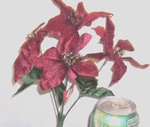 12 Ashland Christmas 9 Inch Burgundy Poinsettia 4 Stem Bush Silk Flower 756035. Fixed Price $23.99.