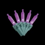 Home Accents Holiday Purple Mini Led Light Set 100 Halloween. Fixed Price $12.99.